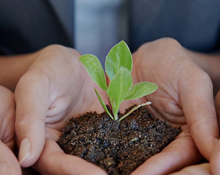 瓦力游戏| 官网 -瓦力出品,必属精品