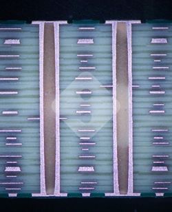 瓦力游戏| 官网 -瓦力出品,必属精品