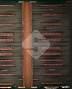 瓦力游戏| 官网 -瓦力出品,必属精品